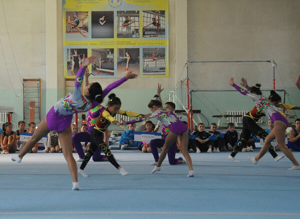 Во всём виноваты боты?