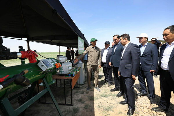 Сфера особого внимания