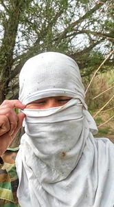 Штраф, что комариный укус