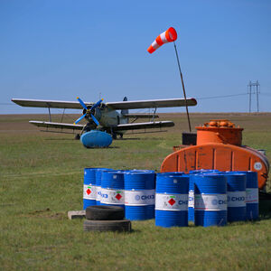 Гнус проклятый