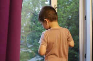 На краю подоконника