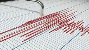 Землетрясение магнитудой 4,8 произошло в 234 км от Алматы