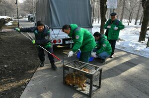 Пациенты  рычат и кусаются
