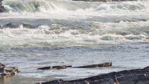 Вдвое больше воды подали аграриям Жамбылской области с начала поливного сезона