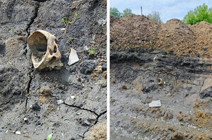 Кости  из прошлого