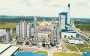 Полезно  для природы, выгодно  для бизнеса