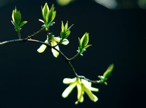 Погода без осадков ожидается во вторник в ряде регионов Казахстана