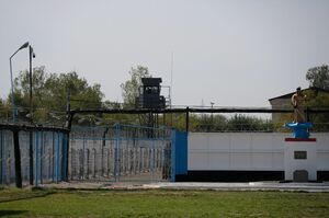 Нудист за решёткой