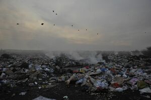 Нарушения в работе 227 мусорных полигонов нашли в Туркестанской области