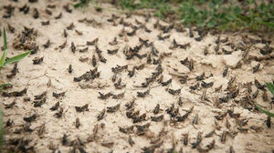 Ну кто так травит?