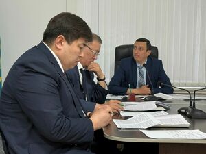 Полтора землекопа