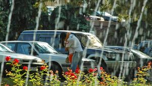 Дождь с грозой ожидается во вторник в Шымкенте, в Астане и Алматы без осадков