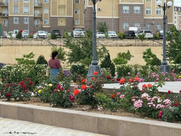 Подрядчик, зри в корень!