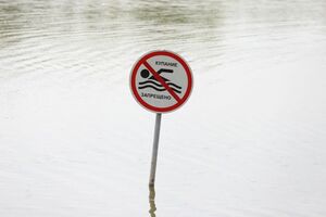 Плывите отсюда