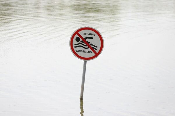 Плывите отсюда