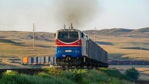 Сразу два случая наездов поездов на скот произошло за сутки в Казахстане