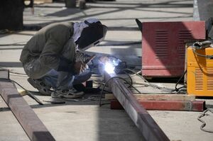 Число работающих иностранцев в Казахстане достигло 14,3 тыс. на начало мая