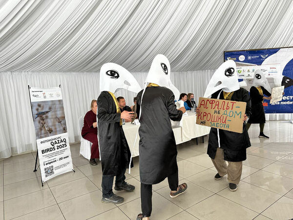 Птичку жалко