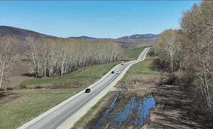 И друга за компанию