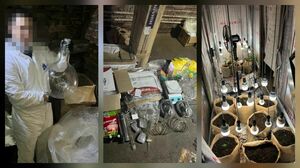 Накрыли разом