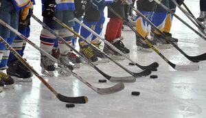 Скрестили клюшки