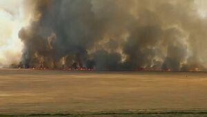 Возгорание тростниковой растительности локализовали в Атырауской области