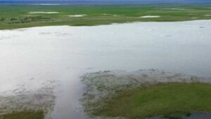 Впервые за 10 лет наполнили озеро Караколь в нижнем течении реки Талас