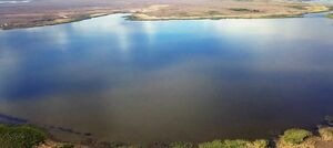 Предъявите отчёт!