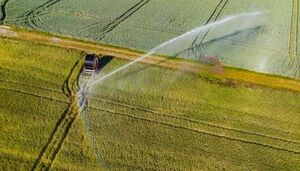 Более 2,5 млрд кубометров воды подано южным аграриям Казахстана