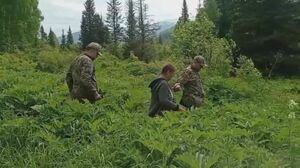 Из года в год