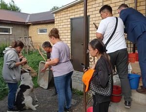 Сами с усами