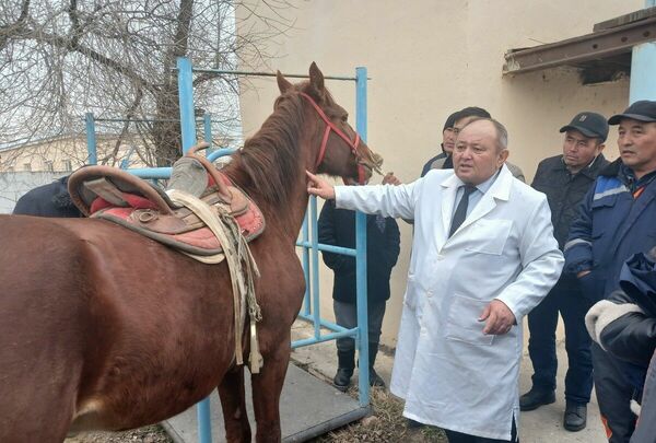 Масштабное обновление