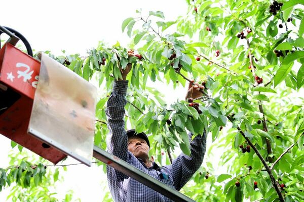 В полный рост!