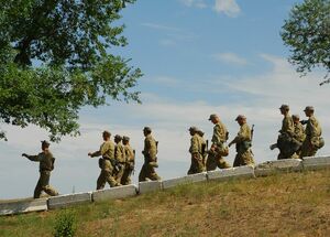 Добровольцы по команде