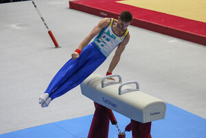 Атлеты снова на коне