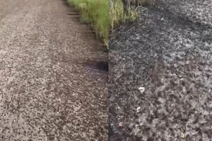 Спасти посевы