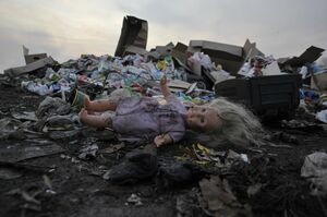 Около 2,7 млрд тенге штрафов должны заплатить экологические нелегалы в Казахстане