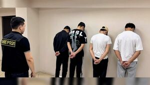 Схема интернет-мошенничества раскрыта в Алматинской области