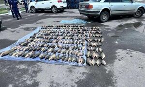 Предполагаемую ОПГ браконьеров ликвидировали в Туркестанской области