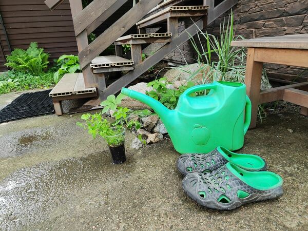 У дачников отбирать дачи не будут!