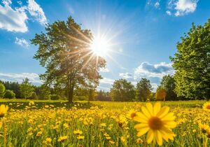 44-градусная жара и осадки ожидаются во вторник в ряде регионов Казахстана