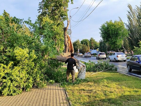 Совсем взбесилась стихия…