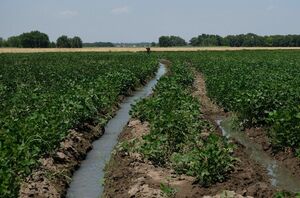 Вопрос наивысшей влажности