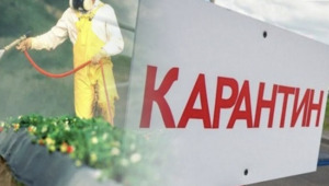 Бектенов о карантине растений на границе: Резкое усиление санкций может сказаться негативно