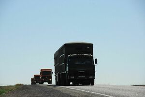 Какие запреты на импорт растительной продукции действуют в Казахстане