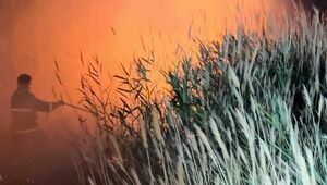 Пожар в резервате «Акжайык» удалось потушить лишь через 10 дней