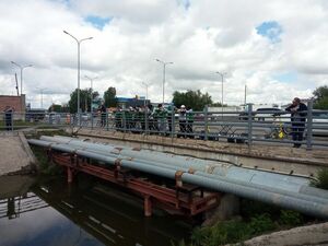 Ручей с бурным лечением