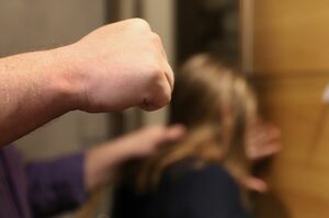 На защиту и помощь пострадавшим от домашнего насилия направлено почти 6 млрд тенге - омбудсмен