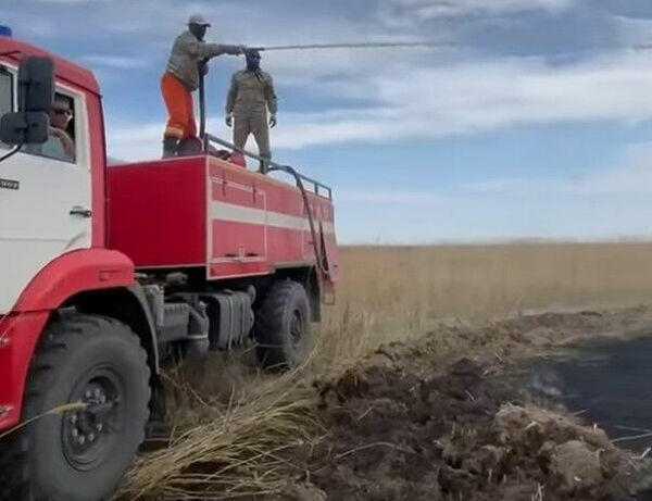 Почему резерват так часто горит?