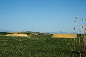 Сами верните!